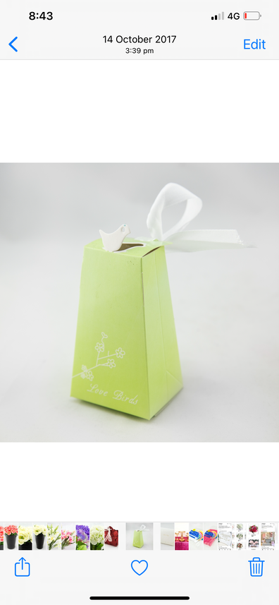 Mint dove  favor box